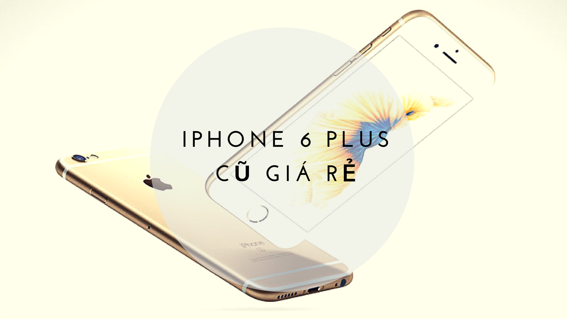 Tất tần tật thông tin iPhone 6 Plus cần biết khi mua - PAD Store